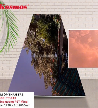 Tráng gương PET hông TT-813